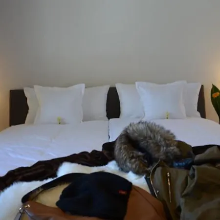 Alpen-appartements Zuercher