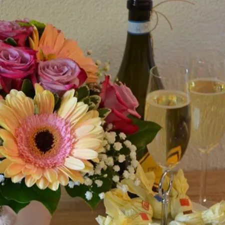 Alpen-appartements Zuercher