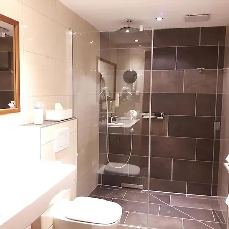 Alpen-appartements Zuercher *