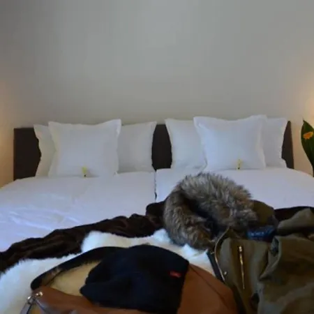 Apartment Alpen-appartements Zurcher *
