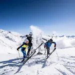 Alpen-appartements Zuercher *